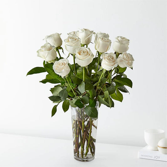 Luxury Dozen White Roses in a vase